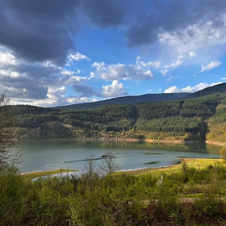 Zavojsko Jezero - Vila Jezero Пирот Екстериор снимка