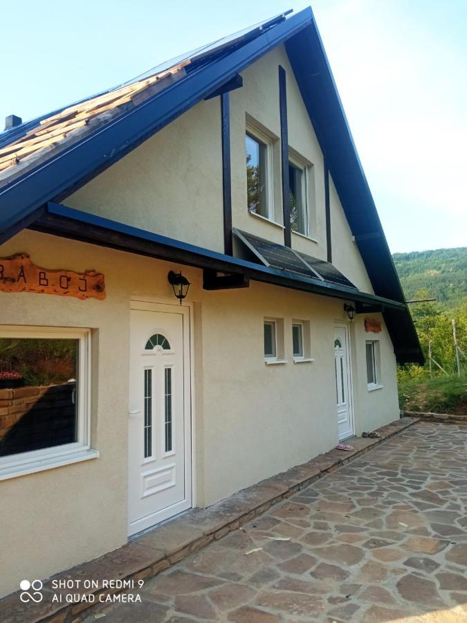 Zavojsko Jezero - Vila Jezero Пирот Екстериор снимка