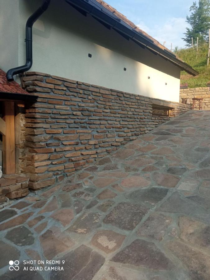 Zavojsko Jezero - Vila Jezero Пирот Екстериор снимка
