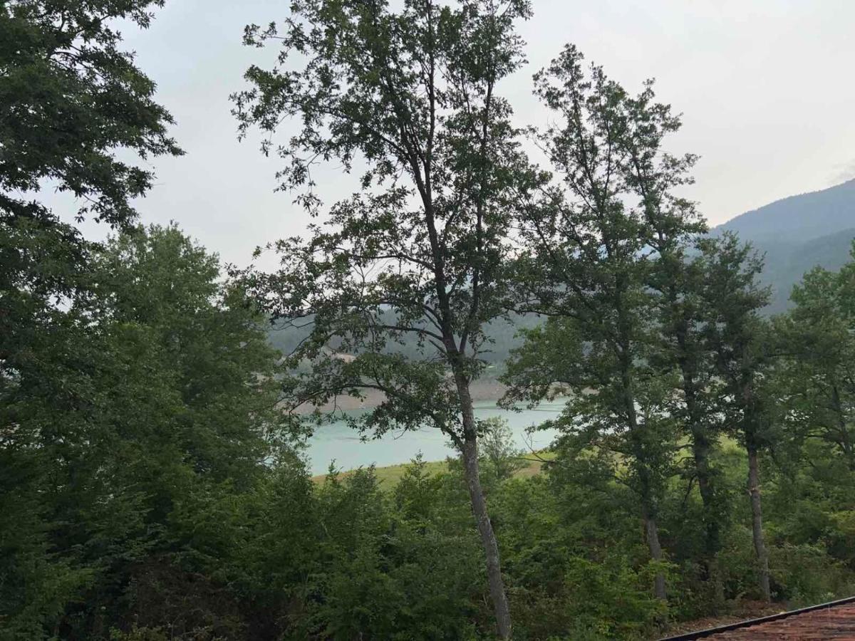 Zavojsko Jezero - Vila Jezero Пирот Екстериор снимка